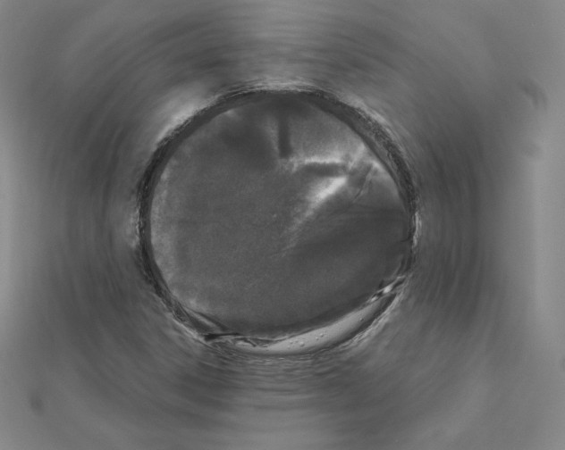 X0000111471306200908241333