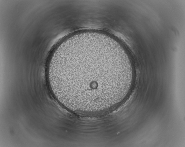 X0000111471307200908241333