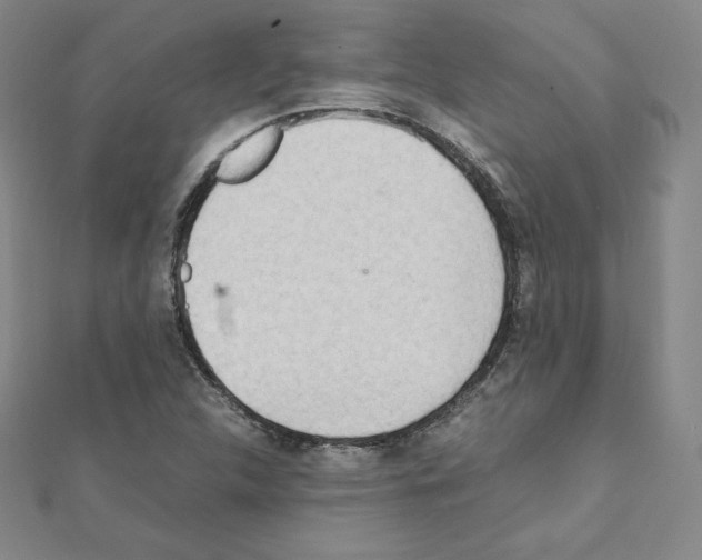 X0000111471312200908241333