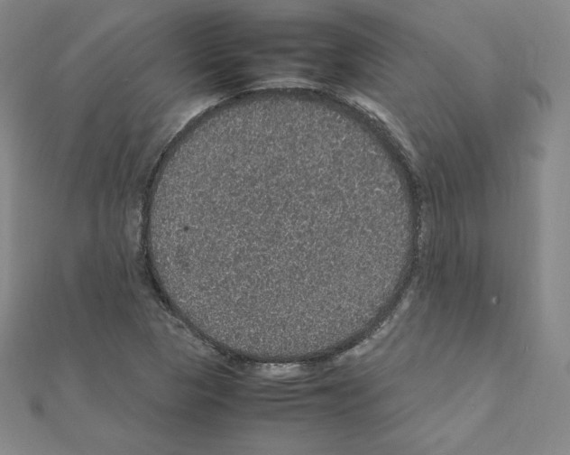 X0000111471313200908241333