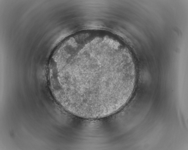 X0000111471314200908241333