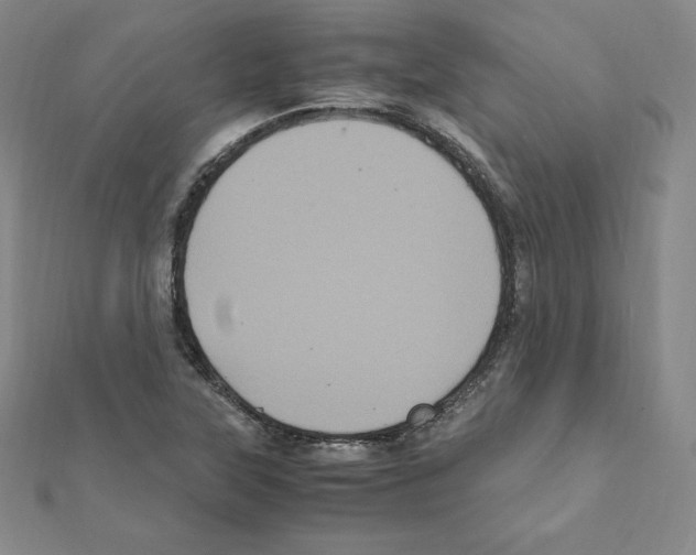 X0000111471315200908241333