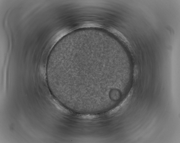 X0000111471321200908241333