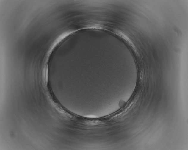 X0000111471323200908241333