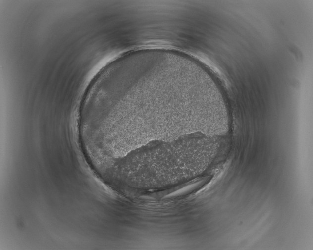 X0000111471325200908241333