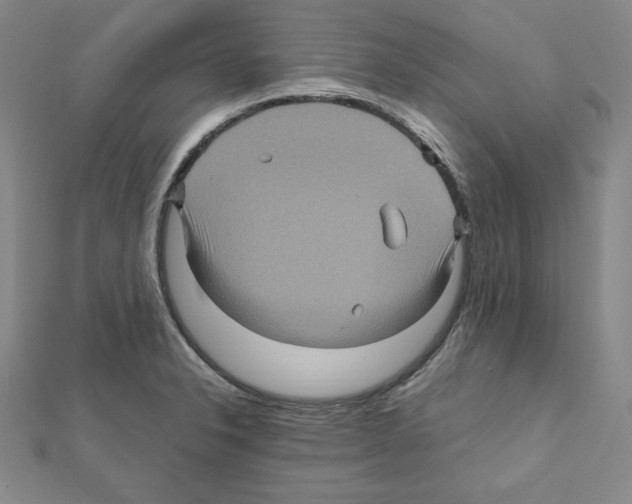 X0000111471326200908241333