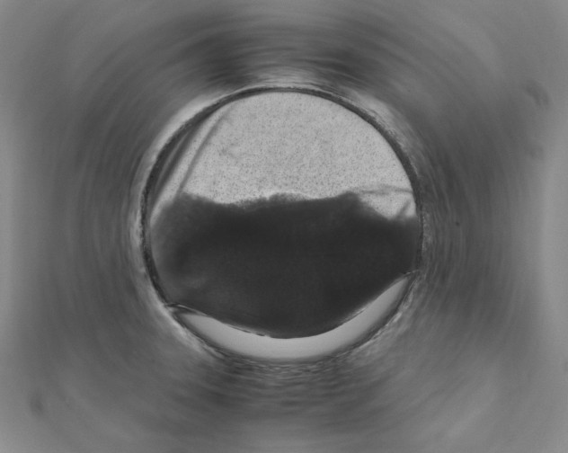 X0000111471331200908241333