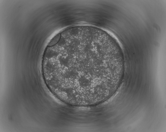 X0000111471333200908241333