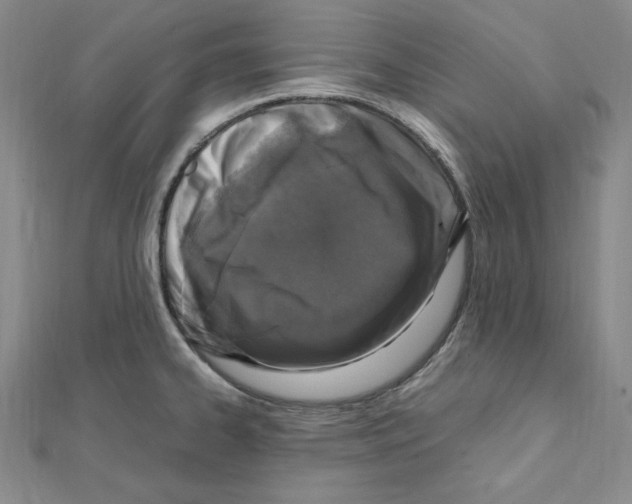 X0000111471334200908241333