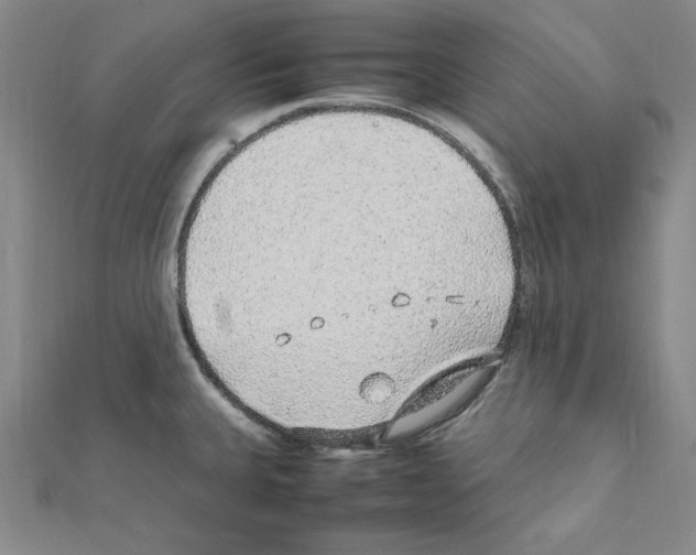 X0000111471335200908241333