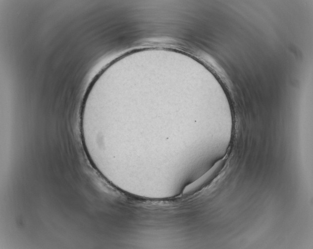 X0000111471336200908241333