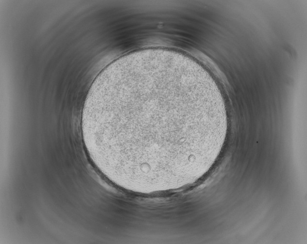 X0000111471337200908241333