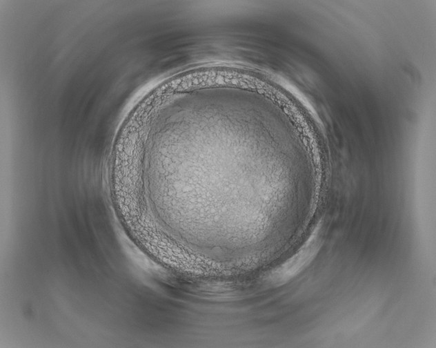 X0000111471338200908241333