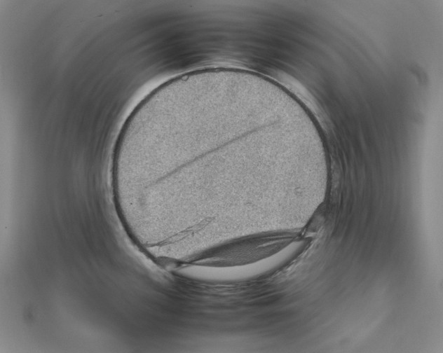 X0000111471339200908241333