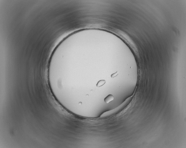 X0000111471340200908241333