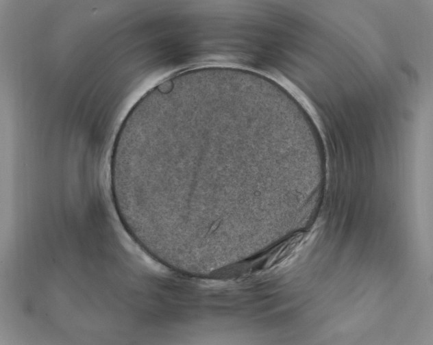 X0000111471341200908241333