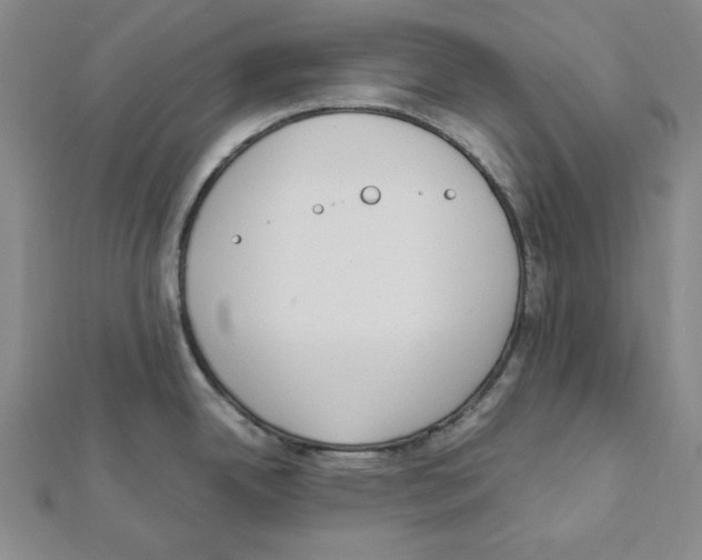 X0000111471342200908241333