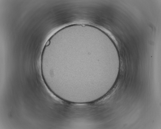 X0000111471343200908241333