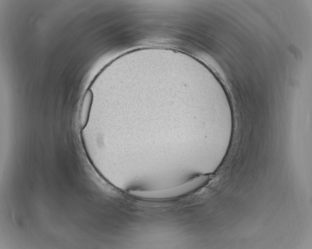 X0000111471344200908241333