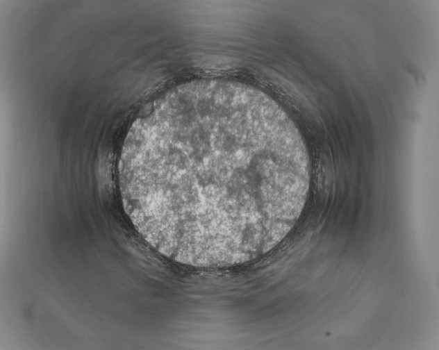 X0000111471346200908241333