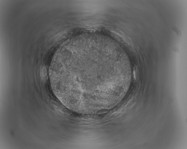 X0000111471347200908241333