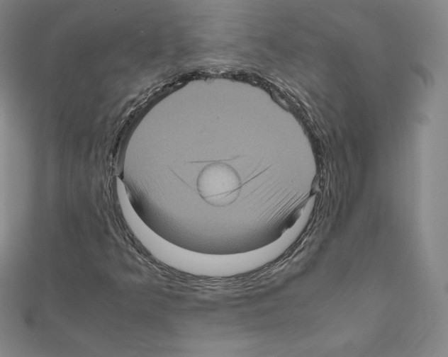 X0000111471349200908241333