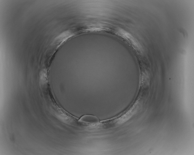 X0000111471353200908241333