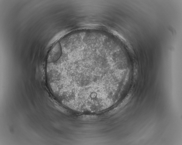 X0000111471354200908241333