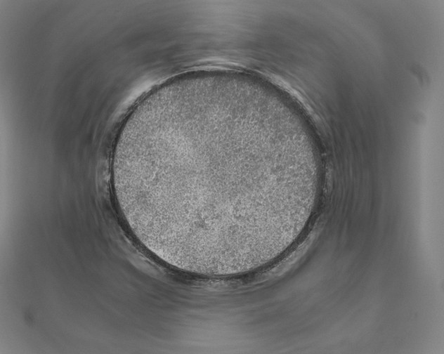 X0000111471355200908241333