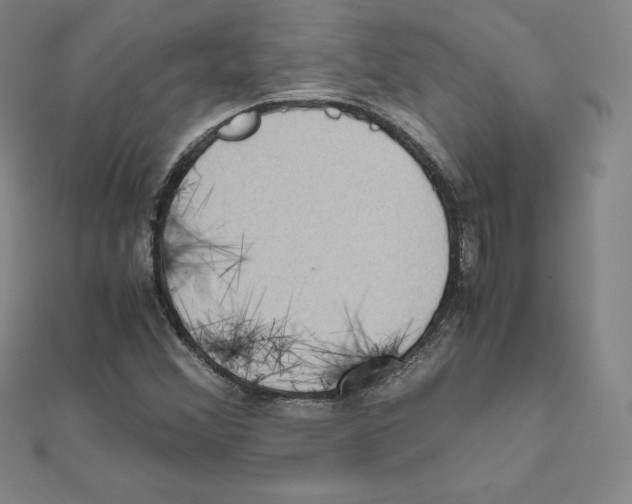 X0000111471356200908241333