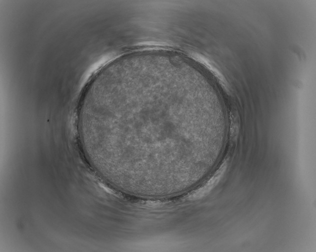 X0000111471357200908241332