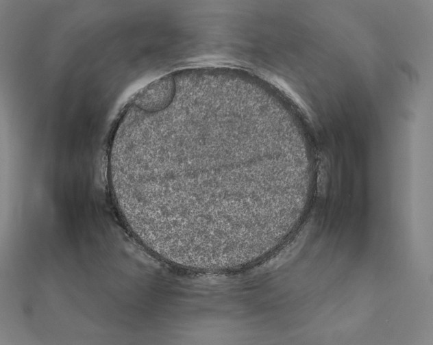 X0000111471358200908241332