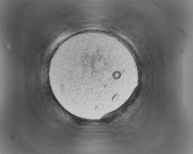 X0000111471359200908241332