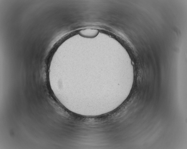 X0000111471360200908241332