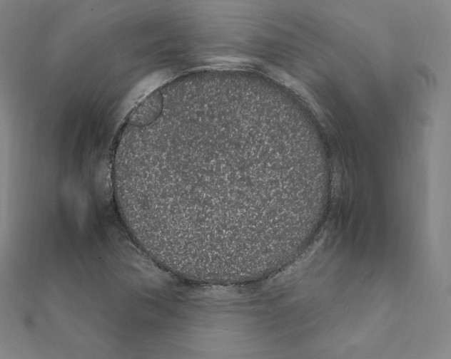 X0000111471362200908241332