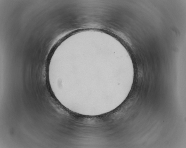 X0000111471364200908241332