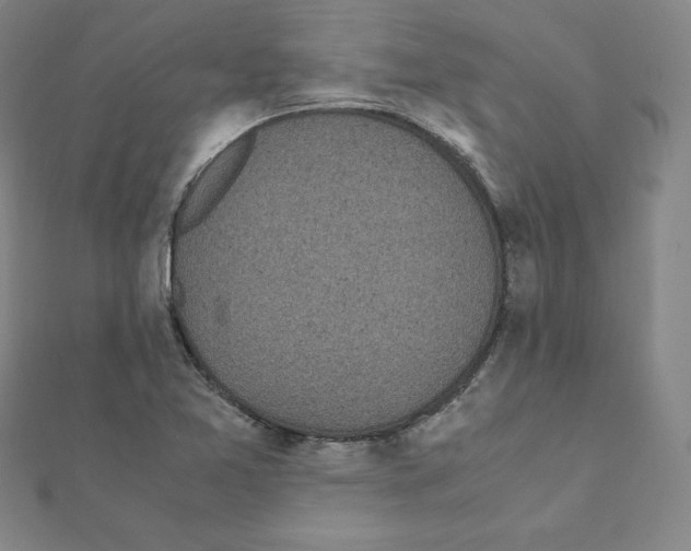 X0000111471365200908241332