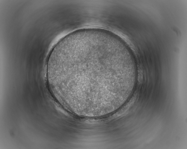 X0000111471366200908241332