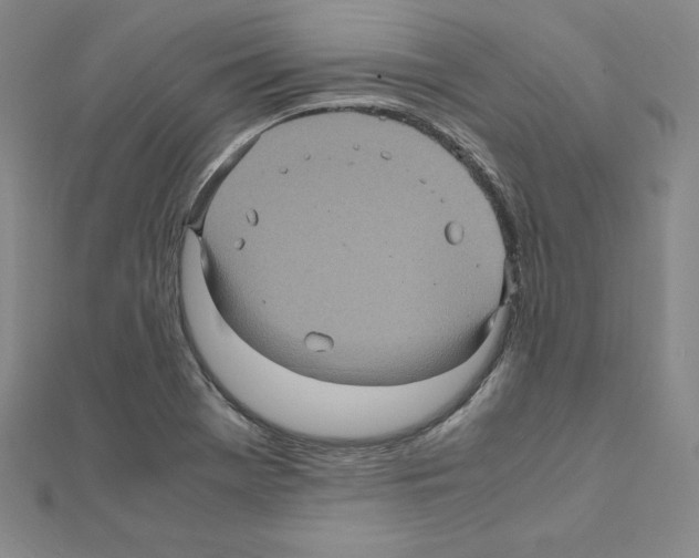 X0000111471369200908241332