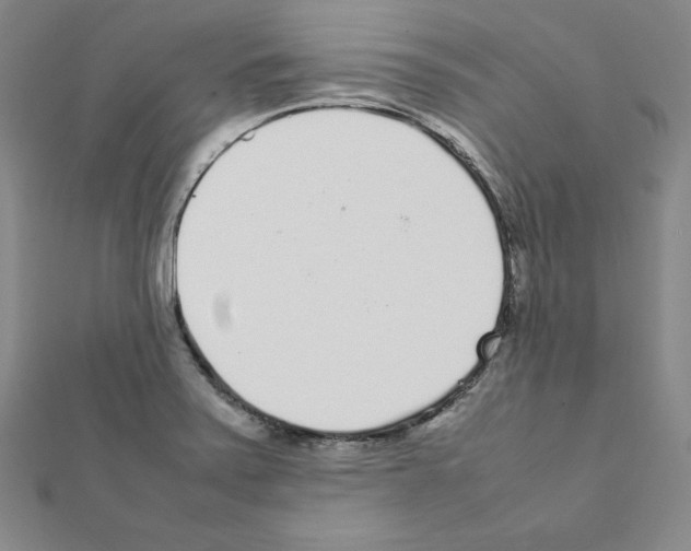 X0000111471371200908241332