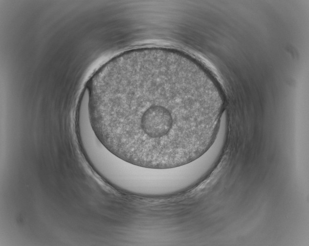 X0000111471373200908241332