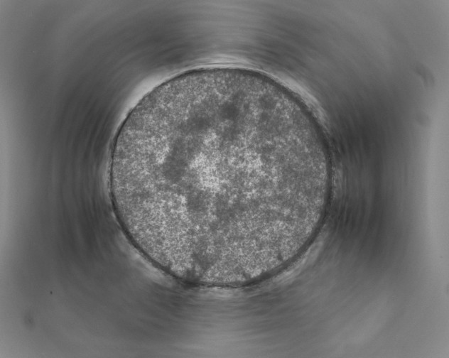 X0000111471374200908241332