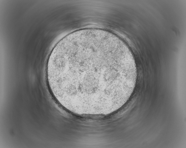 X0000111471375200908241332