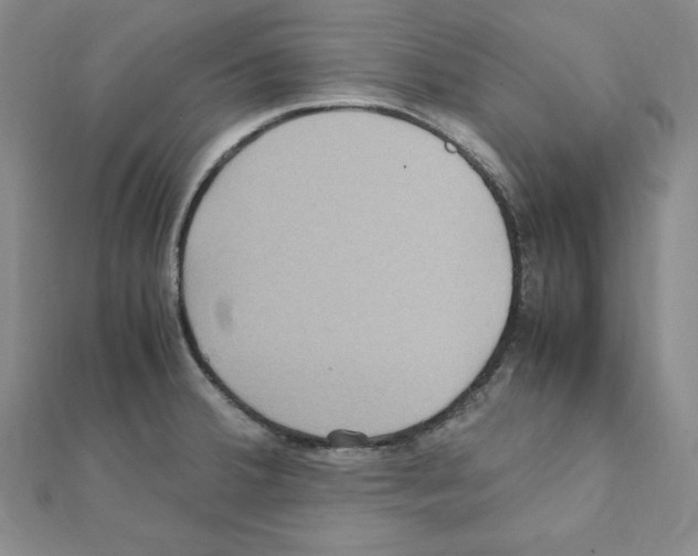 X0000111471380200908241332