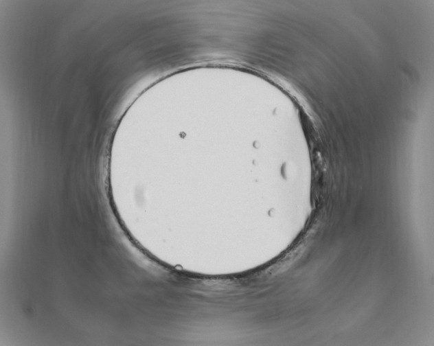 X0000111471383200908241332