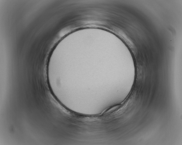 X0000111471384200908241332