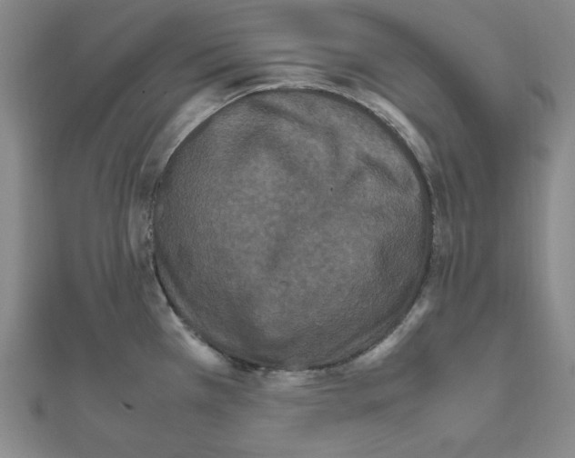 X0000111471385200908241332