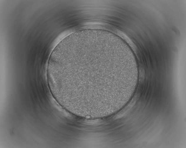 X0000111471386200908241332