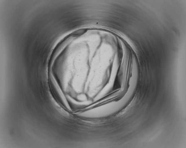 X0000111471388200908241332