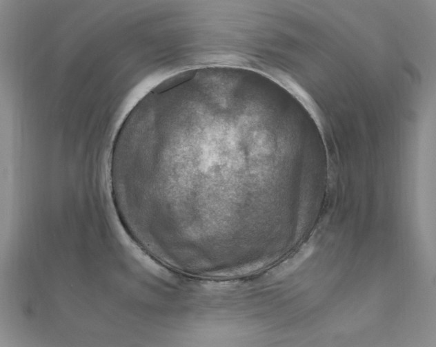 X0000111471389200908241332